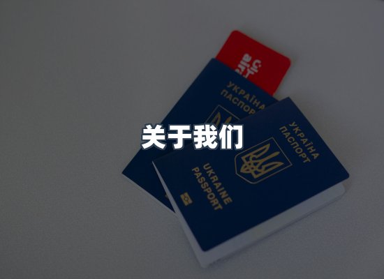 专业团队